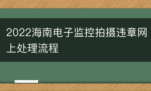 2022海南电子监控拍摄违章网上处理流程