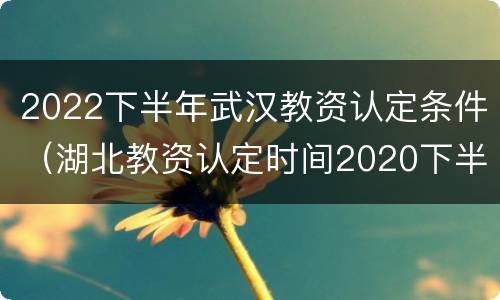 2022下半年武汉教资认定条件（湖北教资认定时间2020下半年）