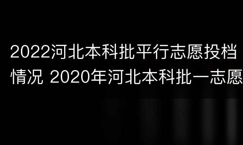 2022河北本科批平行志愿投档情况 2020年河北本科批一志愿投档线