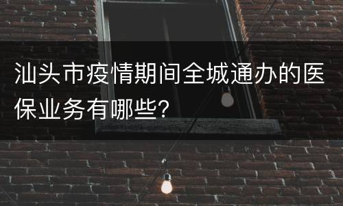 汕头市疫情期间全城通办的医保业务有哪些？