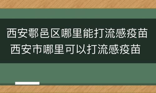 西安鄠邑区哪里能打流感疫苗 西安市哪里可以打流感疫苗