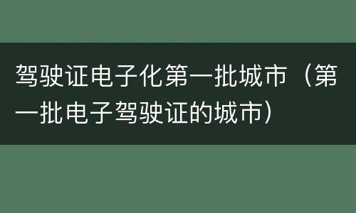 驾驶证电子化第一批城市（第一批电子驾驶证的城市）