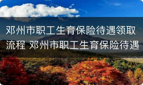 邓州市职工生育保险待遇领取流程 邓州市职工生育保险待遇领取流程表