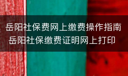 岳阳社保费网上缴费操作指南 岳阳社保缴费证明网上打印