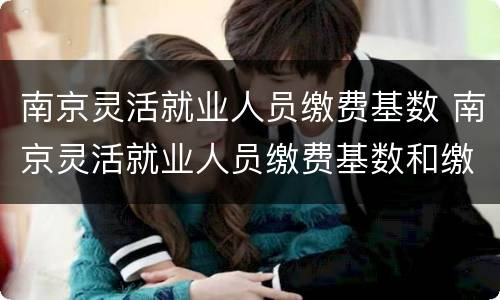 南京灵活就业人员缴费基数 南京灵活就业人员缴费基数和缴费情况表