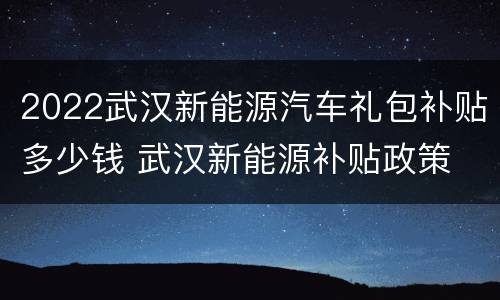 2022武汉新能源汽车礼包补贴多少钱 武汉新能源补贴政策