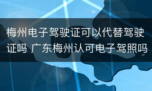 梅州电子驾驶证可以代替驾驶证吗 广东梅州认可电子驾照吗