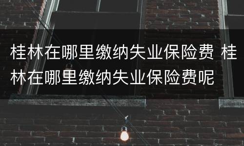 桂林在哪里缴纳失业保险费 桂林在哪里缴纳失业保险费呢