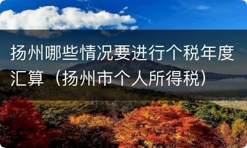 扬州哪些情况要进行个税年度汇算（扬州市个人所得税）