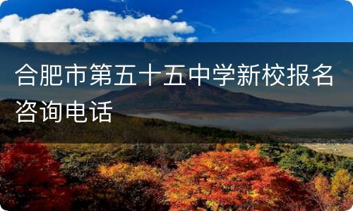合肥市第五十五中学新校报名咨询电话