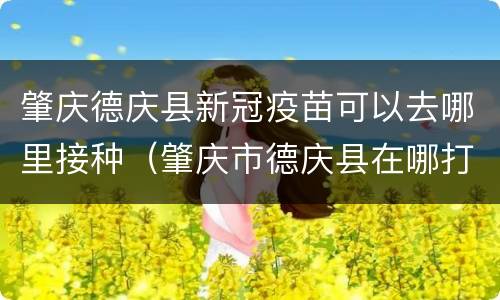 肇庆德庆县新冠疫苗可以去哪里接种（肇庆市德庆县在哪打新冠疫苗）