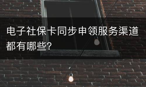 电子社保卡同步申领服务渠道都有哪些？