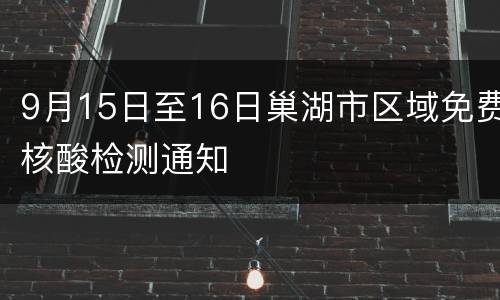 9月15日至16日巢湖市区域免费核酸检测通知