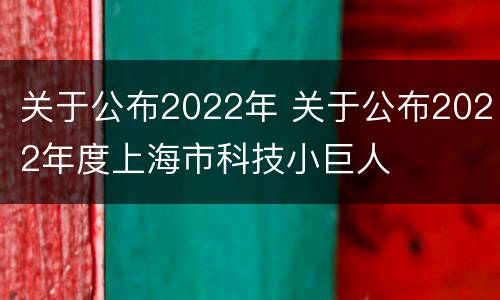 关于公布2022年 关于公布2022年度上海市科技小巨人