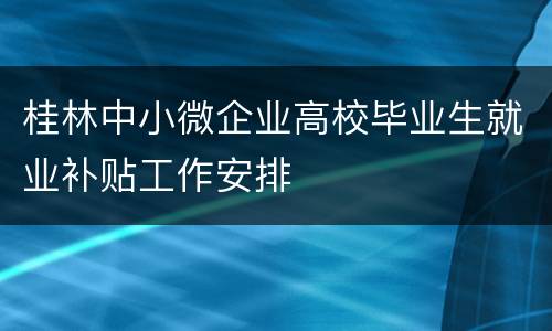 桂林中小微企业高校毕业生就业补贴工作安排