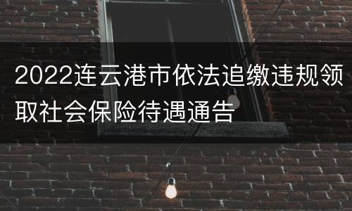 2022连云港市依法追缴违规领取社会保险待遇通告