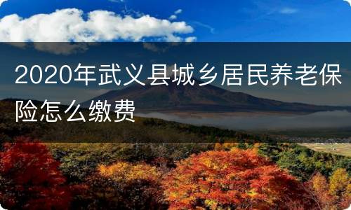 2020年武义县城乡居民养老保险怎么缴费