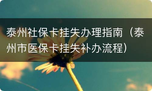 泰州社保卡挂失办理指南（泰州市医保卡挂失补办流程）