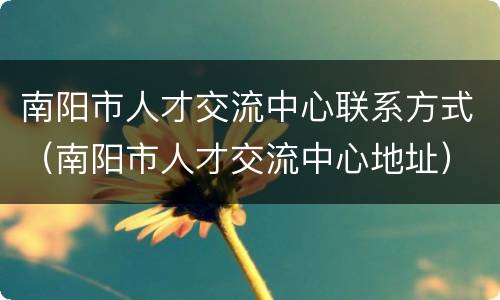 南阳市人才交流中心联系方式（南阳市人才交流中心地址）