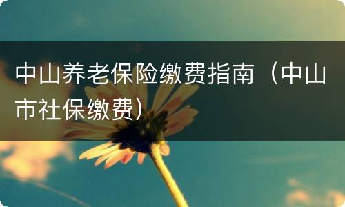 中山养老保险缴费指南（中山市社保缴费）