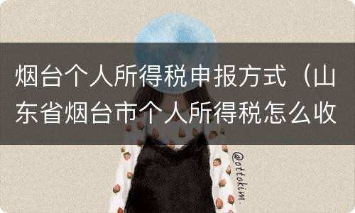 烟台个人所得税申报方式（山东省烟台市个人所得税怎么收的）
