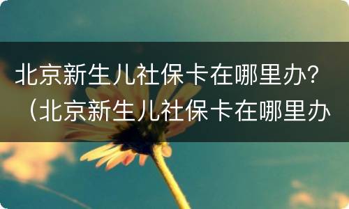 北京新生儿社保卡在哪里办？（北京新生儿社保卡在哪里办卡）