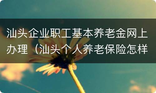 汕头企业职工基本养老金网上办理（汕头个人养老保险怎样办理）