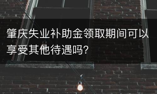 肇庆失业补助金领取期间可以享受其他待遇吗？