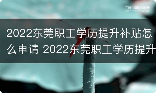 2022东莞职工学历提升补贴怎么申请 2022东莞职工学历提升补贴怎么申请的