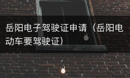 岳阳电子驾驶证申请（岳阳电动车要驾驶证）