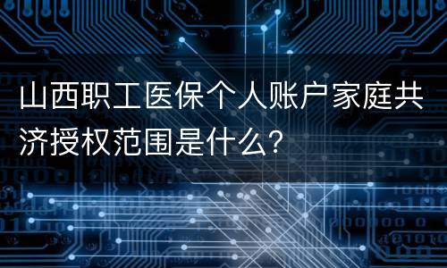 山西职工医保个人账户家庭共济授权范围是什么？