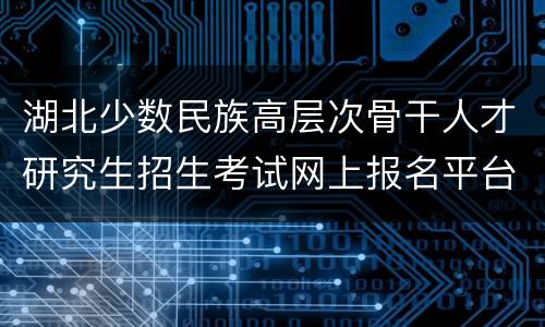 湖北少数民族高层次骨干人才研究生招生考试网上报名平台入口