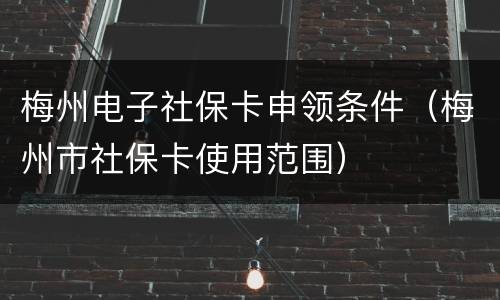 梅州电子社保卡申领条件（梅州市社保卡使用范围）