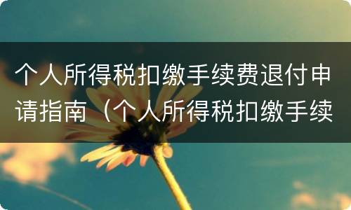 个人所得税扣缴手续费退付申请指南（个人所得税扣缴手续费退付申请指南怎么写）
