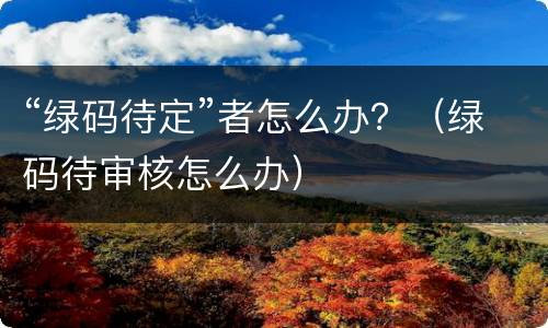 “绿码待定”者怎么办？（绿码待审核怎么办）