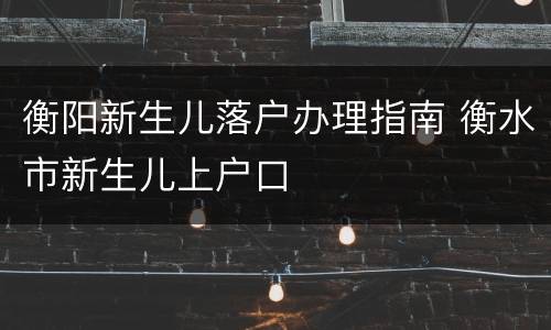 衡阳新生儿落户办理指南 衡水市新生儿上户口
