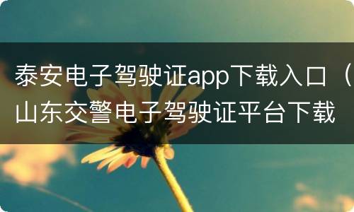 泰安电子驾驶证app下载入口（山东交警电子驾驶证平台下载）