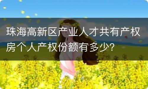 珠海高新区产业人才共有产权房个人产权份额有多少？