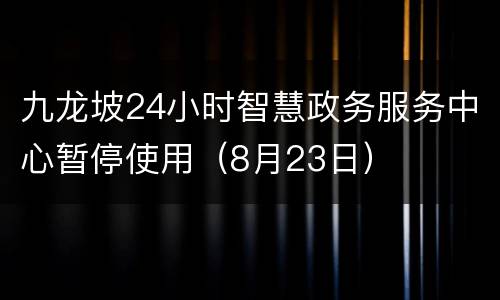 九龙坡24小时智慧政务服务中心暂停使用（8月23日）