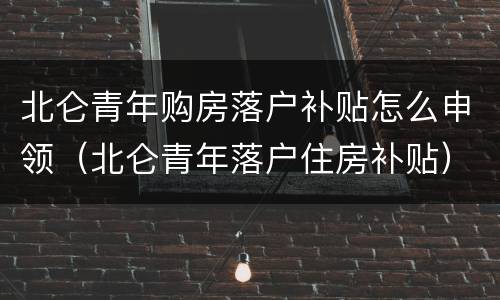 北仑青年购房落户补贴怎么申领（北仑青年落户住房补贴）