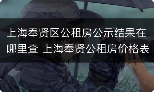 上海奉贤区公租房公示结果在哪里查 上海奉贤公租房价格表
