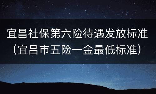 宜昌社保第六险待遇发放标准（宜昌市五险一金最低标准）