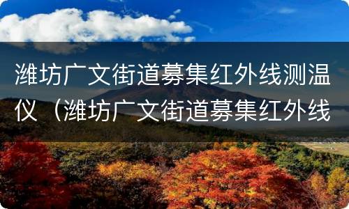 潍坊广文街道募集红外线测温仪（潍坊广文街道募集红外线测温仪厂家）