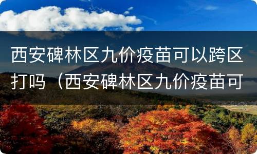 西安碑林区九价疫苗可以跨区打吗（西安碑林区九价疫苗可以跨区打吗）