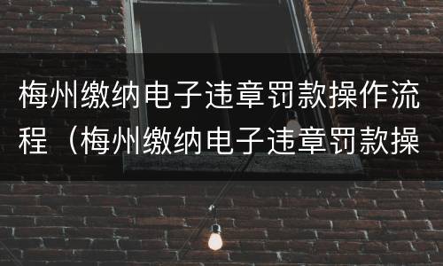 梅州缴纳电子违章罚款操作流程（梅州缴纳电子违章罚款操作流程图片）