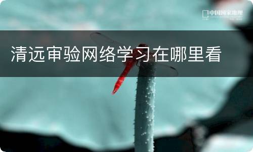 清远审验网络学习在哪里看