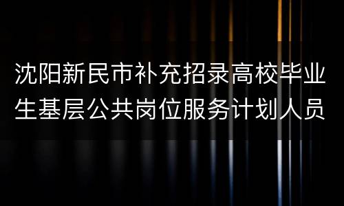 沈阳新民市补充招录高校毕业生基层公共岗位服务计划人员考试公告