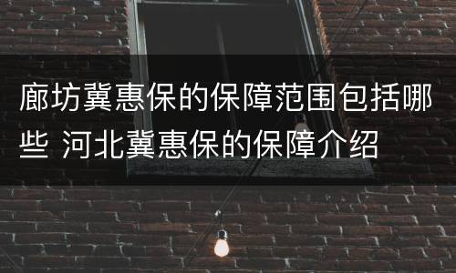 廊坊冀惠保的保障范围包括哪些 河北冀惠保的保障介绍