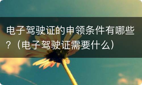 电子驾驶证的申领条件有哪些?（电子驾驶证需要什么）