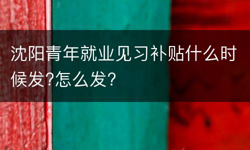沈阳青年就业见习补贴什么时候发?怎么发?